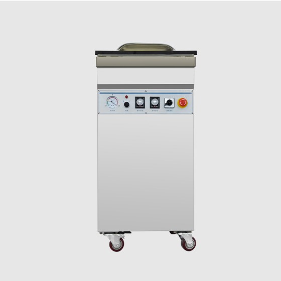 DZ-400 Desktop Vacuum Packaging Sealing Machine